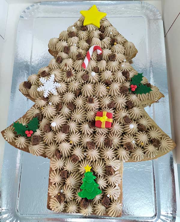 Cake design sur le thème "sapin de Noël" par Sèverine à Tarnos